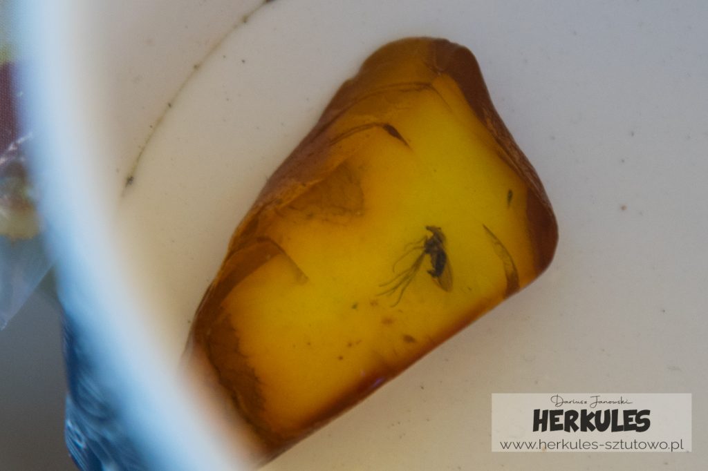 inkluzje – zatopione owady, fragmenty roślin lub pęcherzyki powietrza. Każdy taki bursztyn jest niepowtarzalny.